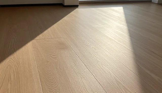 家庭设施维护中防疫管理的实践要点
